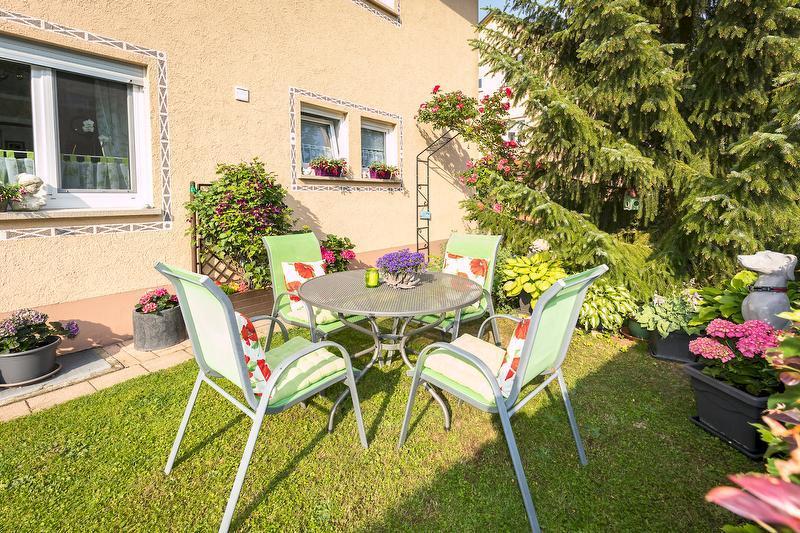 Hortensie * Markdorf